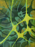 Lemon Lime Visions