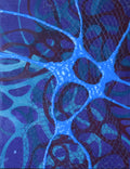 Stitched Vibrations